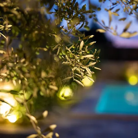 컨트리하우스 House Ursa *